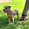 Thumbnail photo of Sasha #3