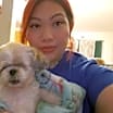 Thumbnail photo of Pirate #3