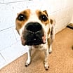 Thumbnail photo of Wally #2