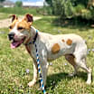 Thumbnail photo of Wally #3