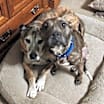 Thumbnail photo of Ruthie #2