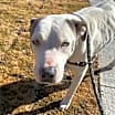 Thumbnail photo of Skylar #4