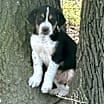 Thumbnail photo of Yates #2