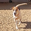 Thumbnail photo of Keller #2