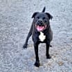 Thumbnail photo of Brady #2
