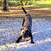 Thumbnail photo of Brady #3