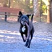Thumbnail photo of Brady #4