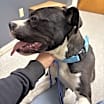 Thumbnail photo of Bunky #2