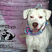 Thumbnail photo of Chance #1