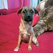 Thumbnail photo of Kira #1