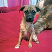 Thumbnail photo of Kira #2