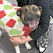 Thumbnail photo of WANDA #1