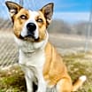 Thumbnail photo of Willow #2
