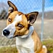 Thumbnail photo of Willow #3