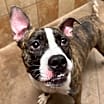 Thumbnail photo of Lilly #2