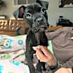 Thumbnail photo of Beth #1