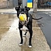 Thumbnail photo of Bright #2