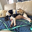 Thumbnail photo of Miller #3