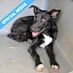 Thumbnail photo of Briella #1