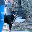 Thumbnail photo of Zeus #1