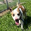 Thumbnail photo of Stitch #3