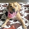 Thumbnail photo of Sabrina #1
