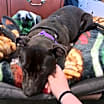 Thumbnail photo of Olive #4