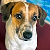 Thumbnail photo of Keller #3