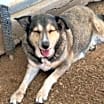 Thumbnail photo of BAILEY #4