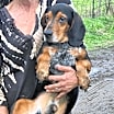 Thumbnail photo of Harpo #2