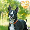 Thumbnail photo of Darla #1