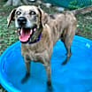 Thumbnail photo of Kaia #2