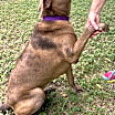 Thumbnail photo of Kaia #3