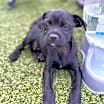 Thumbnail photo of Eddie #1