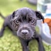 Thumbnail photo of Eddie #3