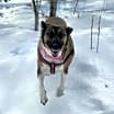 Thumbnail photo of WANDA #2