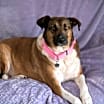 Thumbnail photo of WANDA #4