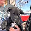 Thumbnail photo of Vince LK #2