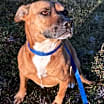 Thumbnail photo of Cora #4