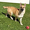 Thumbnail photo of Sophia 9749 #1