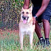 Thumbnail photo of Sophia 9749 #3