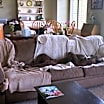 Thumbnail photo of Moose (Mastiff) #2