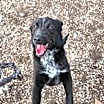 Thumbnail photo of Thelma #2
