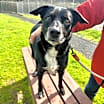 Thumbnail photo of Jax #2