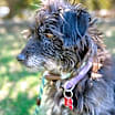 Thumbnail photo of Fanny #1