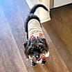 Thumbnail photo of Fanny #2