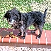 Thumbnail photo of Fanny #4