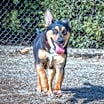 Thumbnail photo of Raya #2
