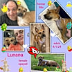 Thumbnail photo of Lunana #4