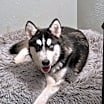 Thumbnail photo of Wyatt #2